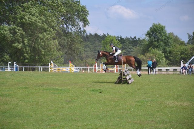 reitertag 2013 184